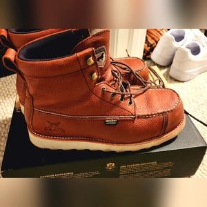 Irish setter wing shooter